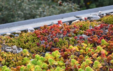 the cost of Darsham green roof installation