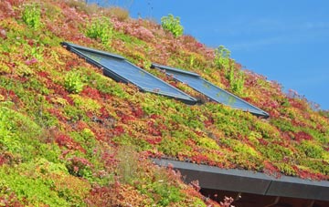 Darsham living roof systems
