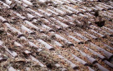 Darsham roof cleaning companies