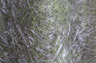 Darsham fibreglass roof work