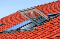 Darsham roof window